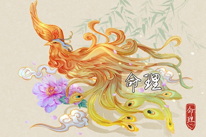 择吉老黄历皇历 皇历 汉典老皇历